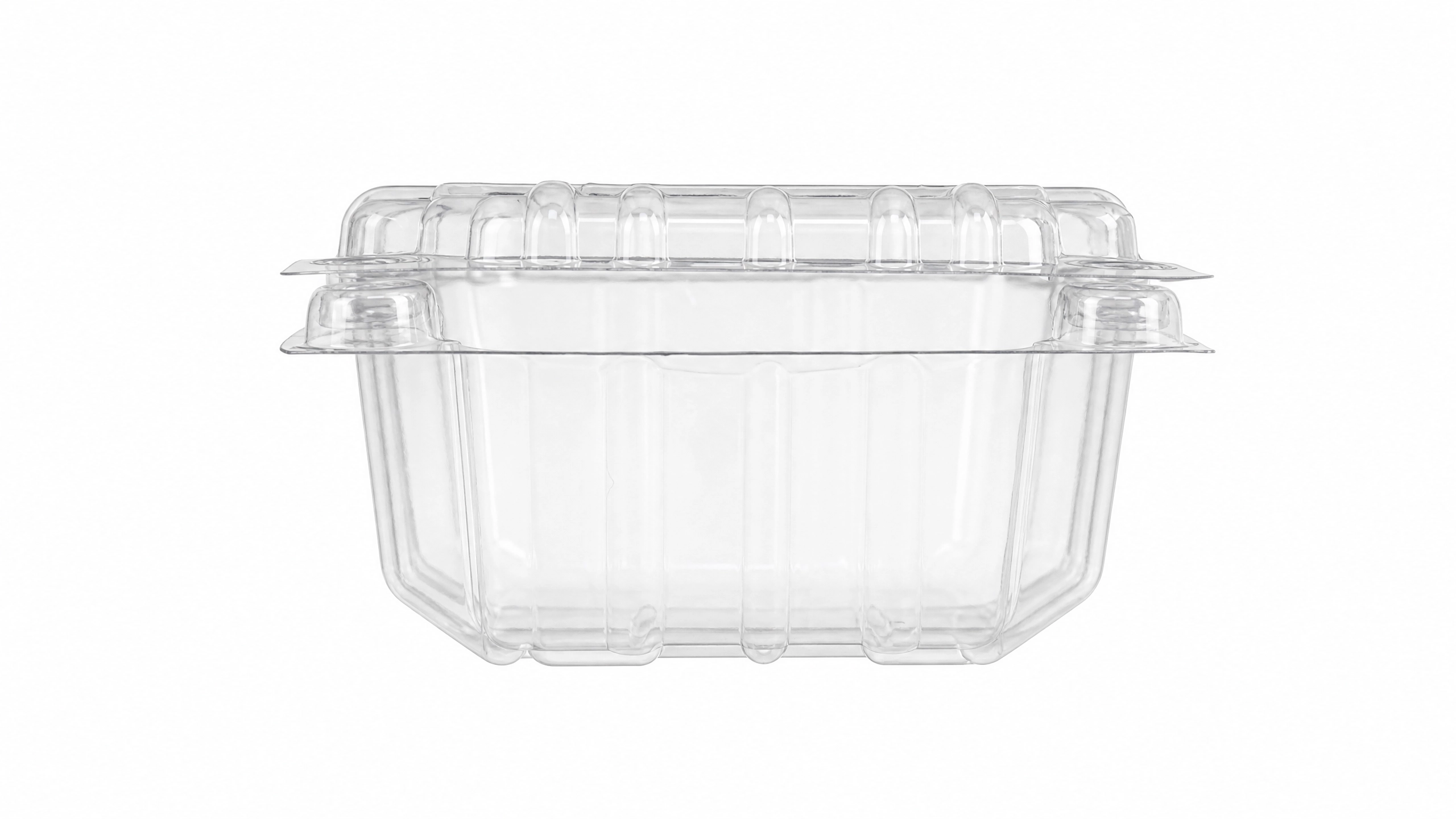 Bandeja PET Transparente — Modelo 10