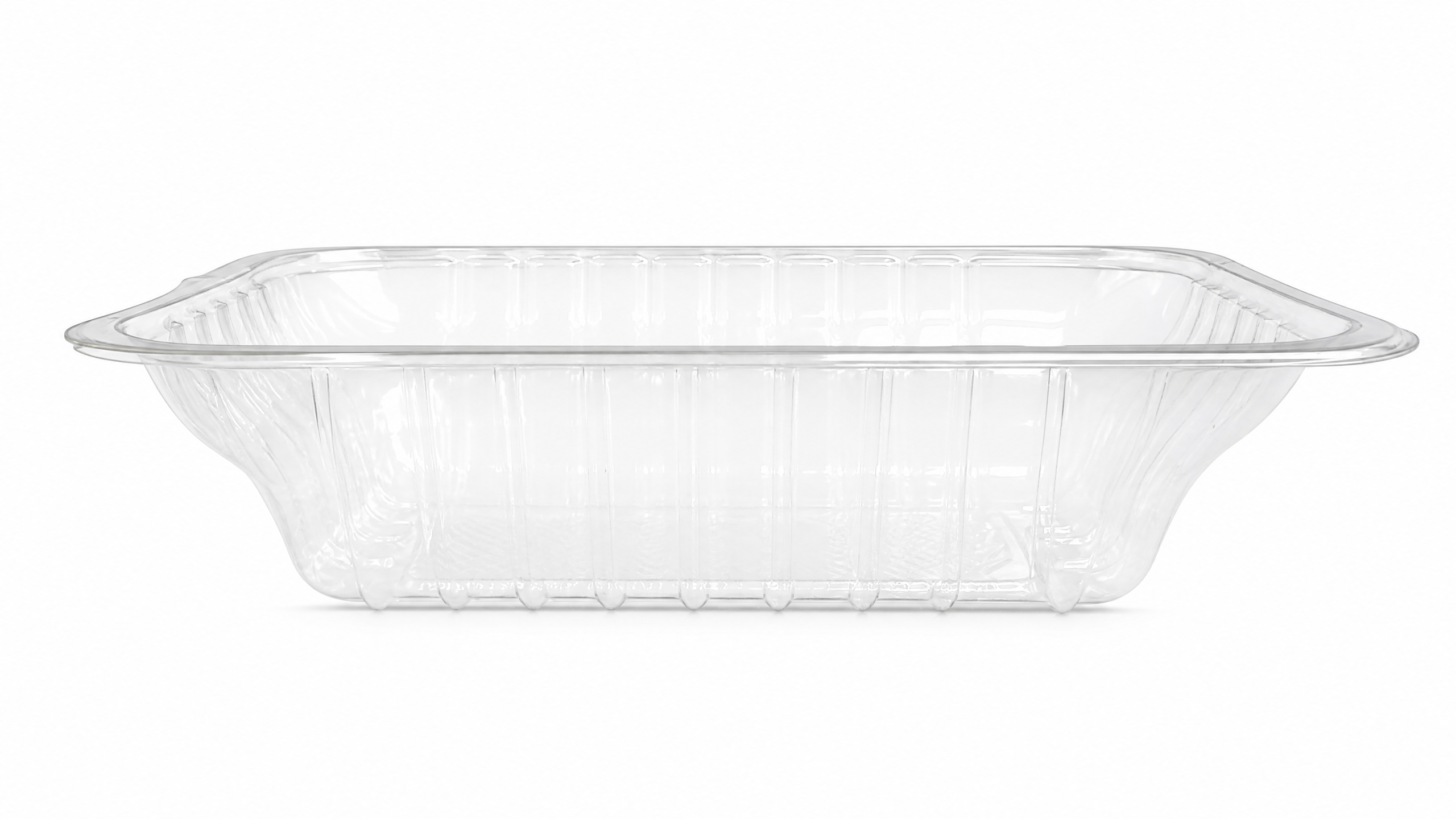 Bandeja PET Transparente — Modelo 19
