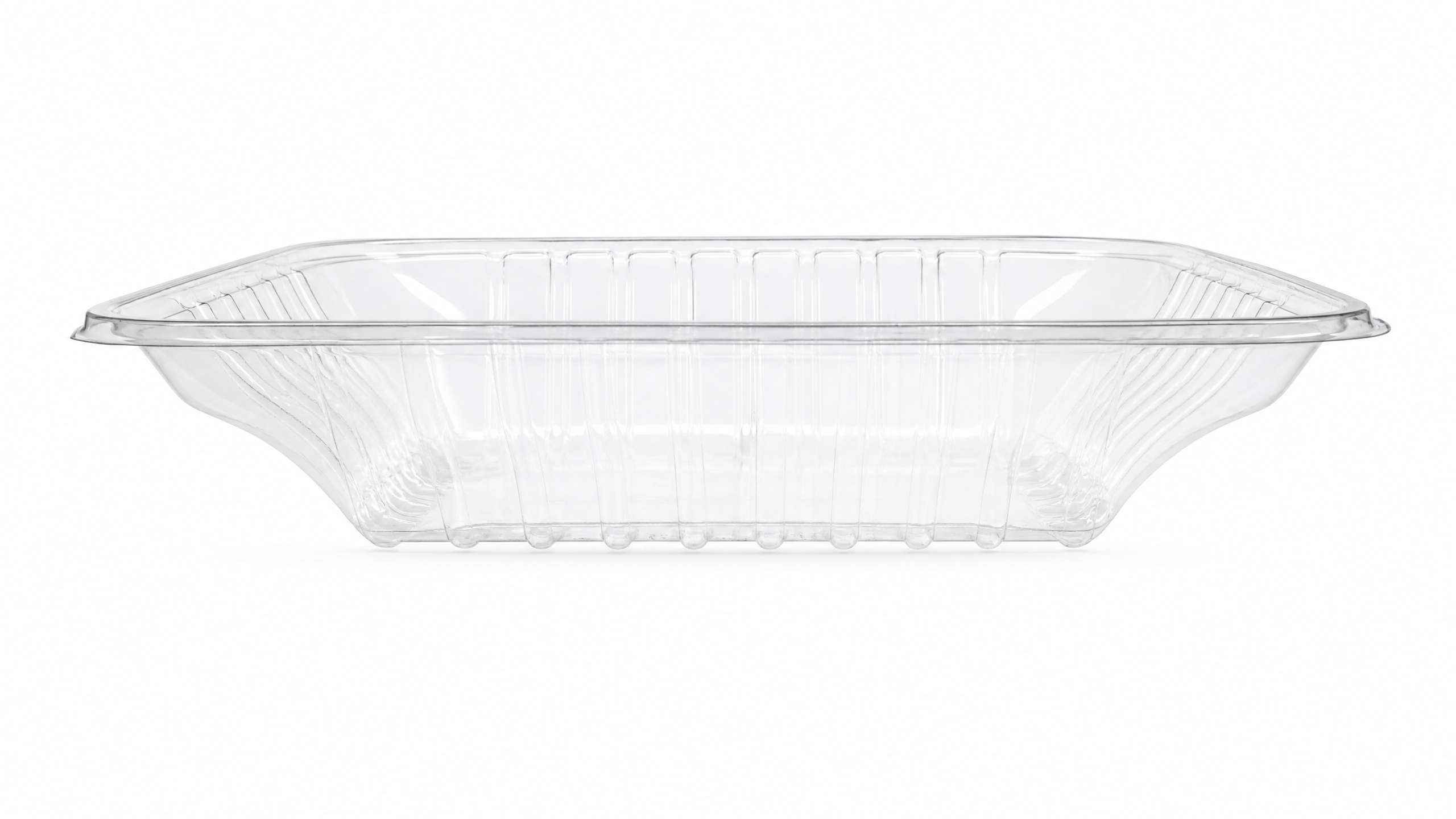 Bandeja PET Transparente — Modelo 21