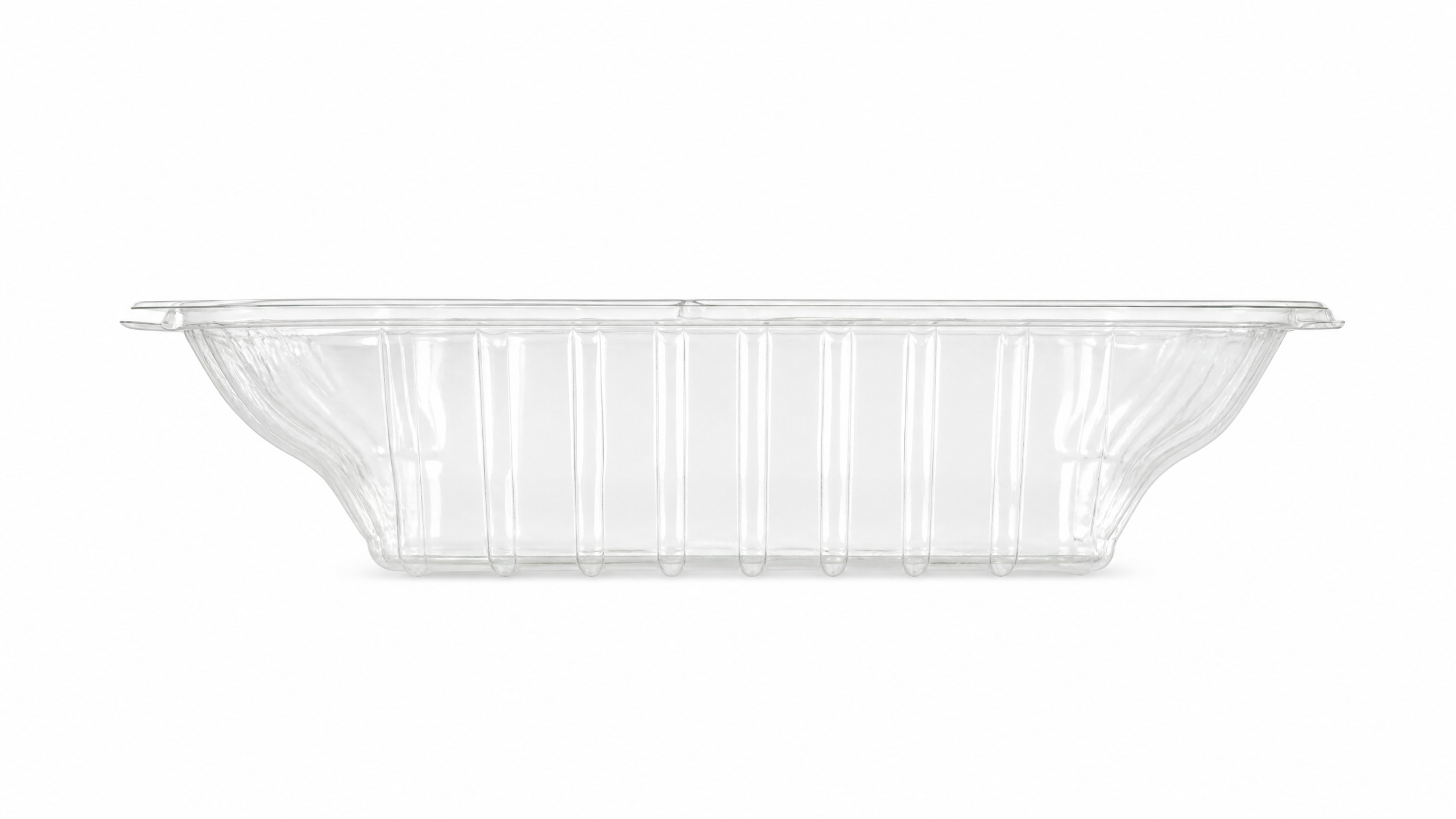 Bandeja PET Transparente — Modelo 24