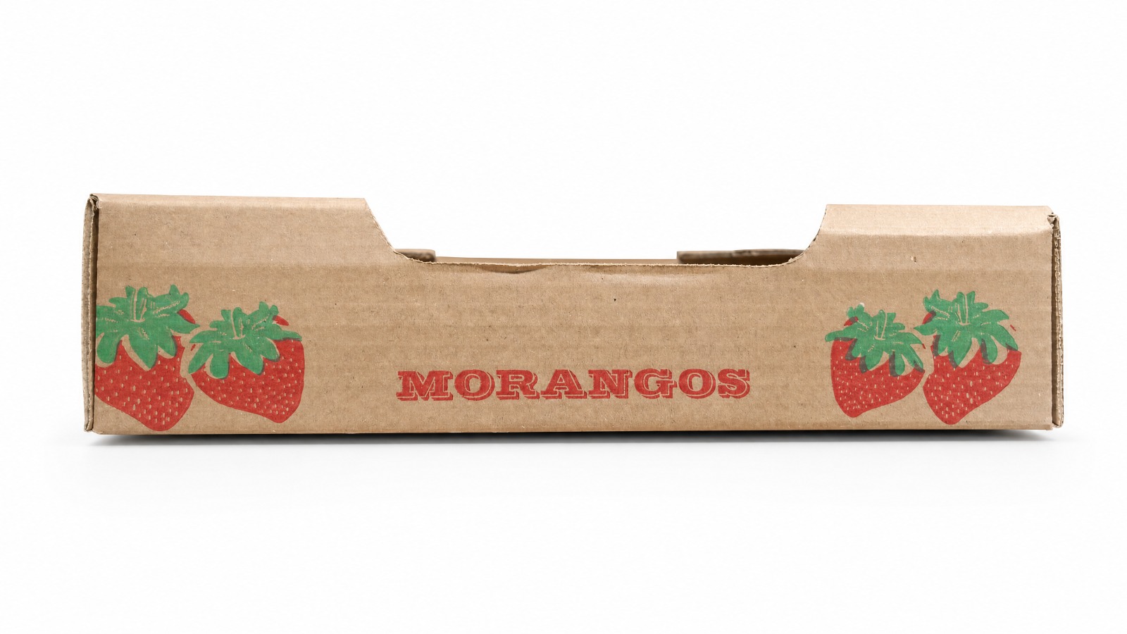 Frutas Selecionadas — Script Vermelho Lateral
